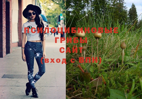 ешки Абинск
